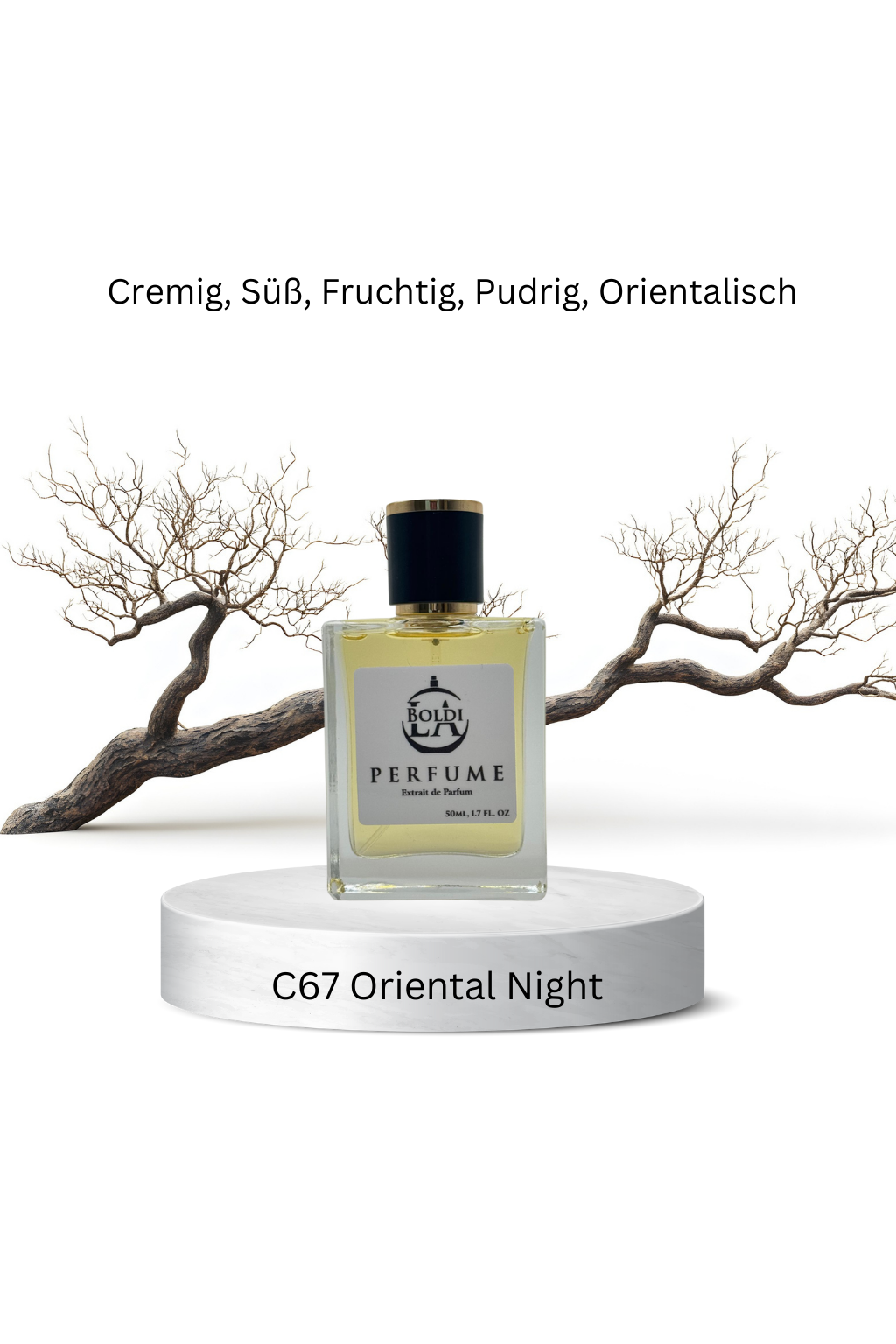 C67 Oriental Night